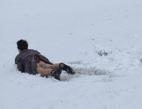 the day SNOWcardBOARDING was invented