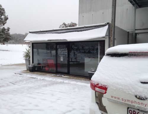 Snow on the cellar door