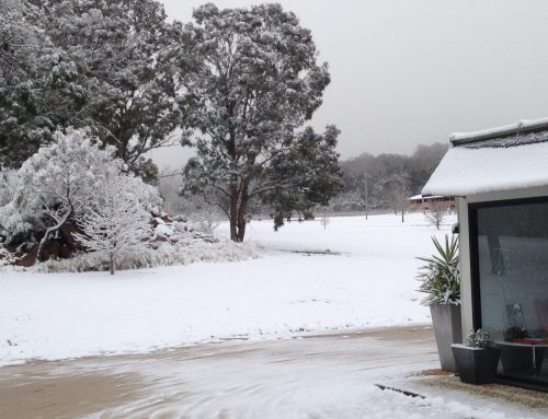 Snow on the cella door
